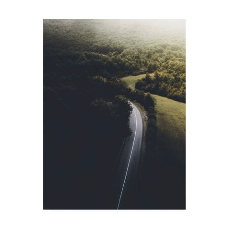 Trademark Fine Art Design Fabrikken 'Road to Darkness Fabrikken' Canvas Art, 14x19 IC01442-C1419GG